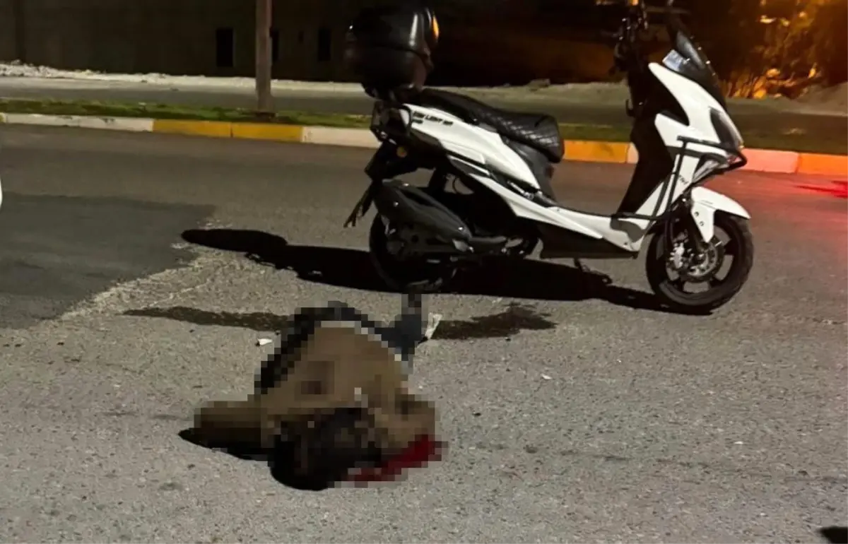 bicakli saldiri sanliurfada genc hayatini kaybetti hbXzImeT