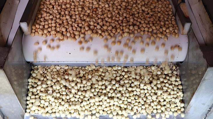 findik ihracatindan 16 milyar dolari askin gelir saglandi OvrxflnY.jpg