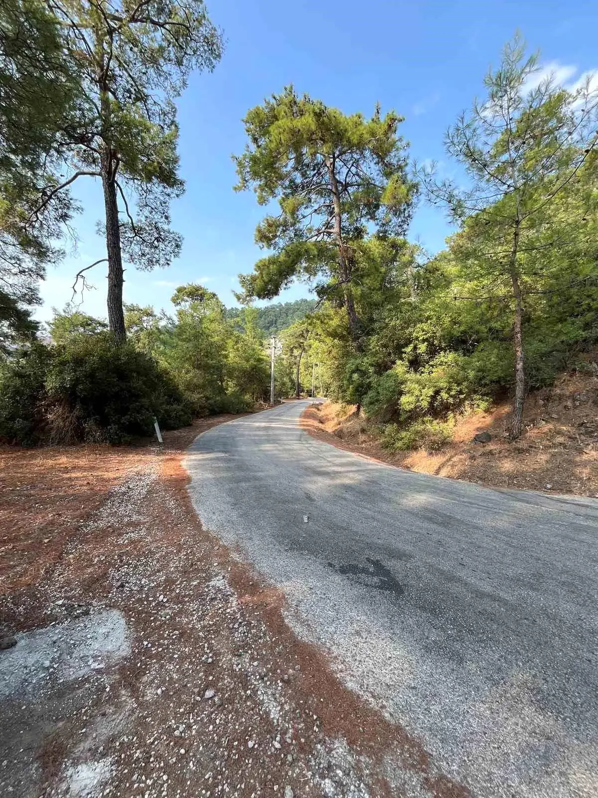 marmariste yangin onleme calismalari yayginlasirken 9wA4EdEk