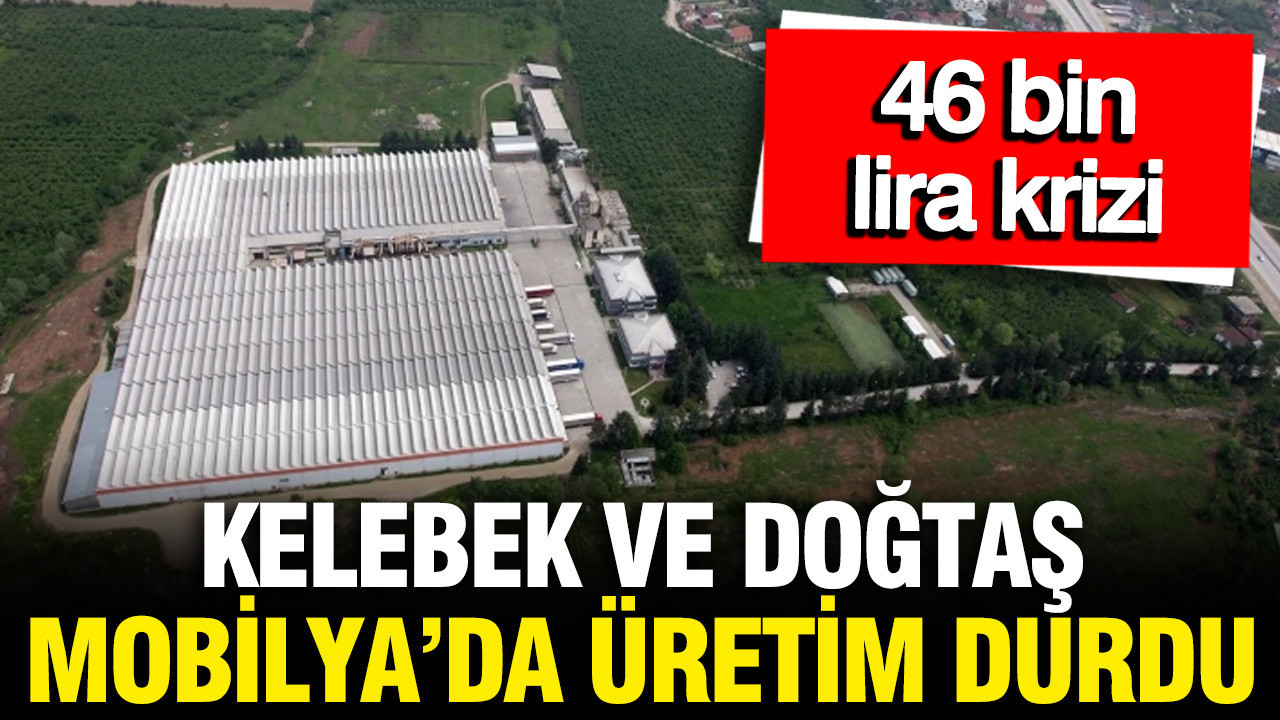 Kelebek ve Doğtaş Mobilya’da Üretim Krizi: İşçiler Promosyon İçin Grevde