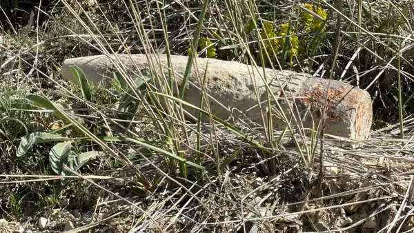 Mantar Toplarken Patlayıcı Mühimmat Buldu