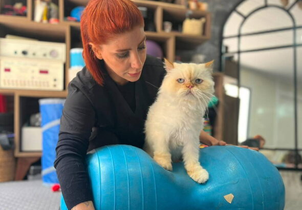chinchilla-cinsi-kopuk-tip-dunyasini-sasirtiyor-18-yasinda-pilates-ve-yuzme-ile-hayata-tutundu-cGRKuyAX