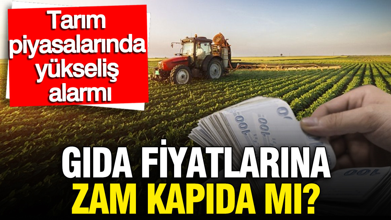 Gıda Fiyatlarında Artış Beklentisi: Buğday, Gübre ve Pirinçte Yükseliş Sinyalleri